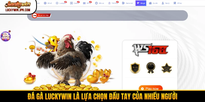 Đá gà Luckywin là lựa chọn đầu tay của nhiều người