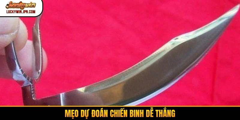 Mẹo dự đoán chiến binh dễ thắng