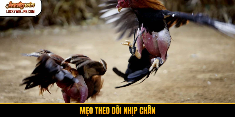 Mẹo theo dõi nhịp chân